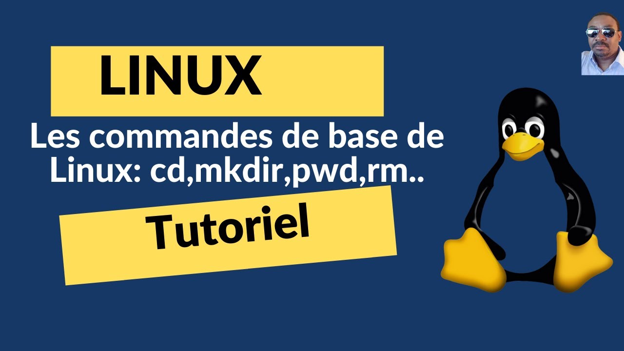 Les commandes de base de Linux : ls,cd,pwd,mkdir,rm,