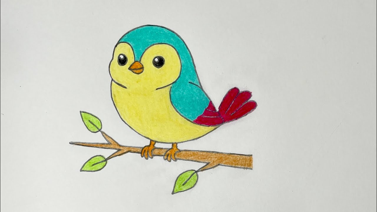 Relaxing Bird Coloring | Calm Art Video for Stress Relief, Focus & Creativity
