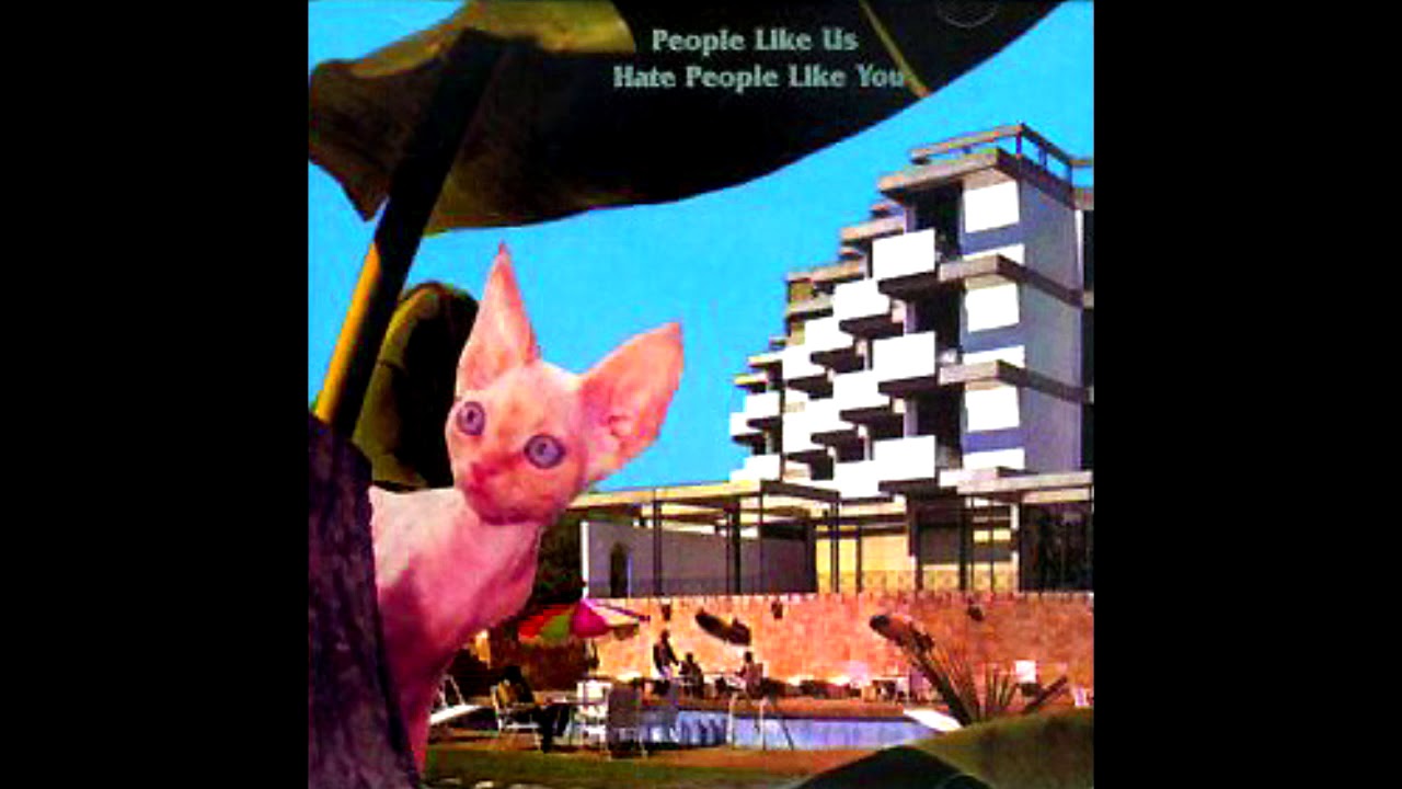 People Like Us  - Hate People Like You -  More Plunderblunders