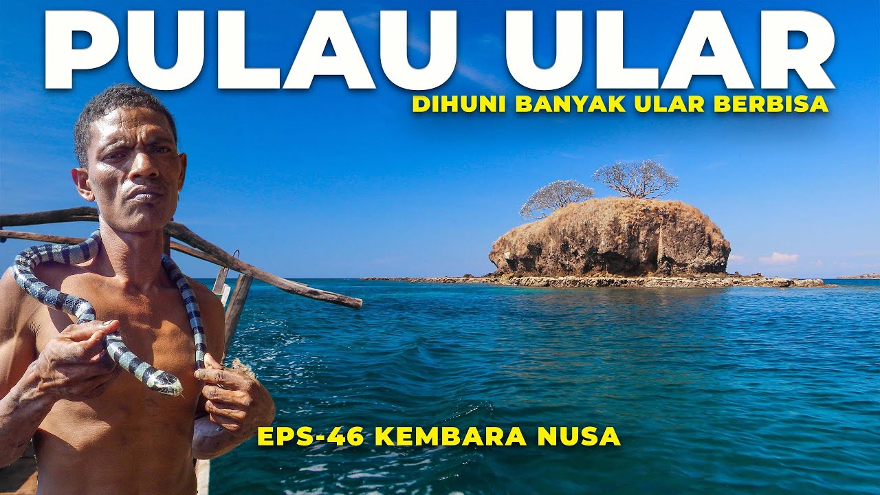 SERAM‼️Uji Nyali Mengunjungi Pulau Ular Yang Ada Di Wera Pulau Sumbawa Ini - Kembara Nusa Eps - 46