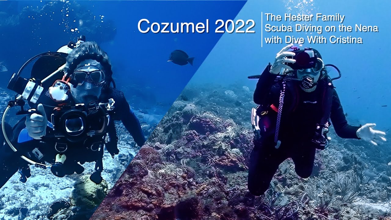 A week in Cozumel diving with the Hesters / October 2022