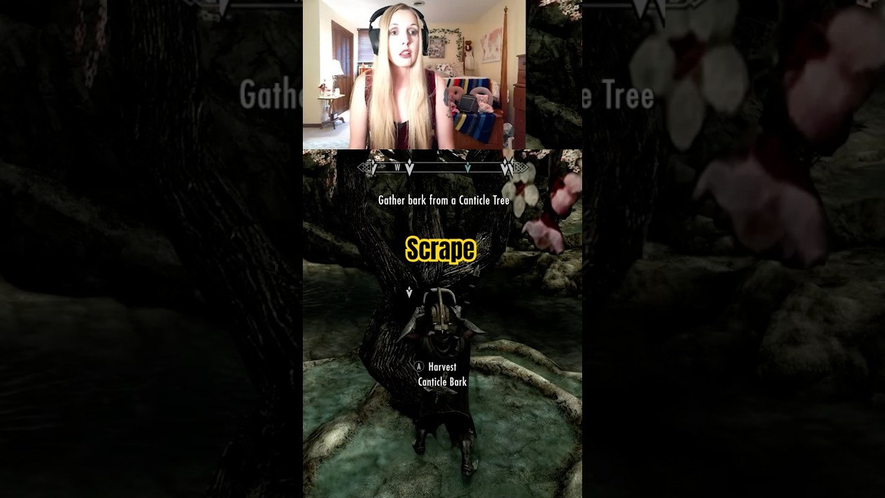 #Skyrimgameplay