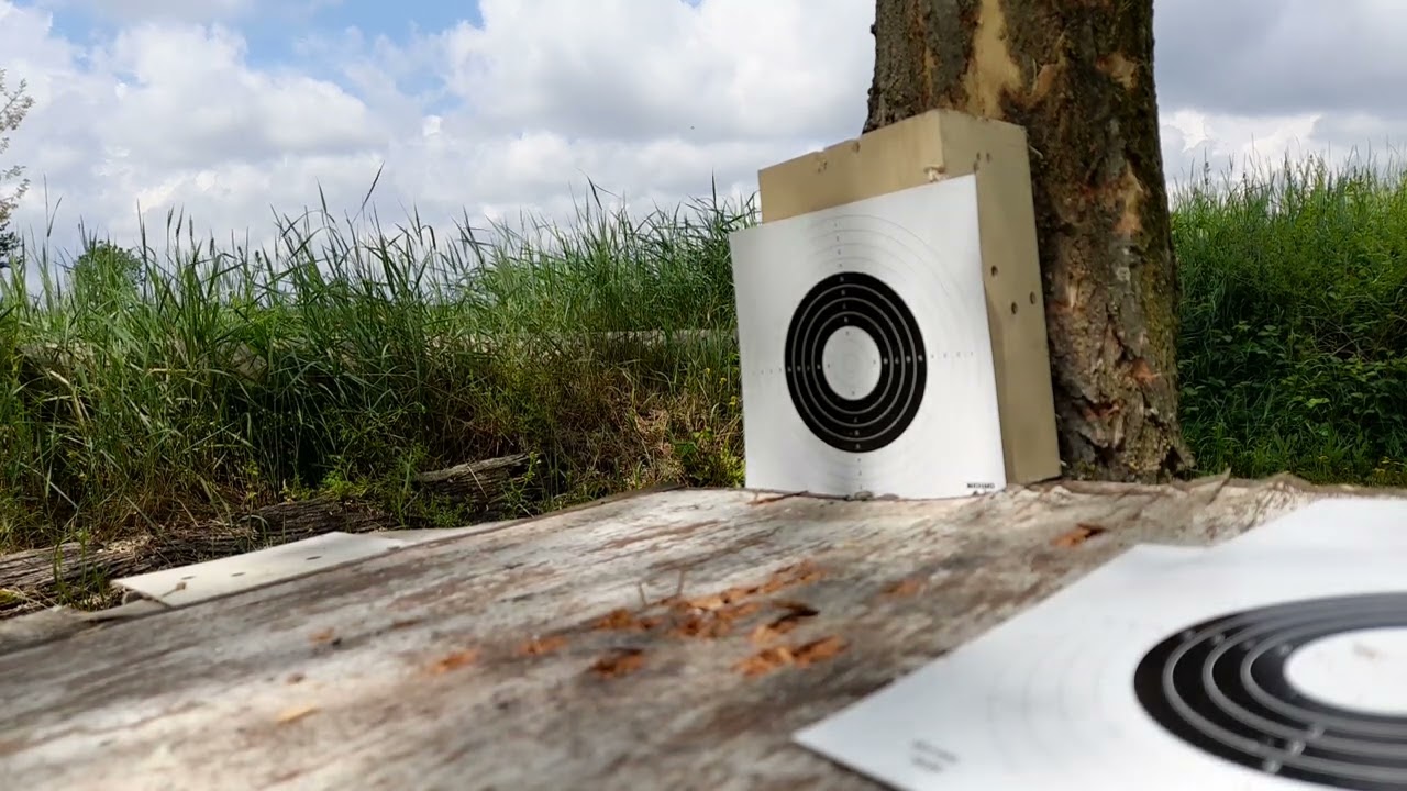 Weihrauch 35 VS Diana 250