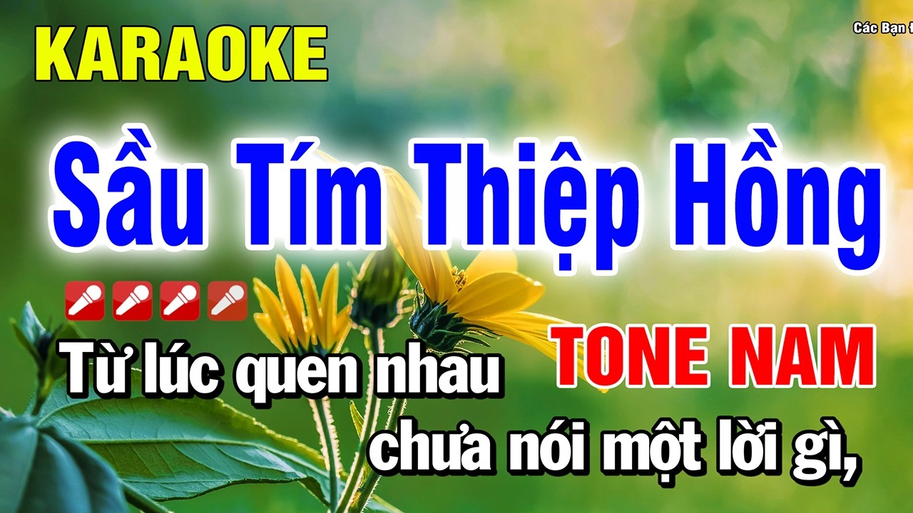 Sầu Tím Thiệp Hồng Karaoke Tone Nam Nhạc Sống Dễ Hát | Nguyễn Linh