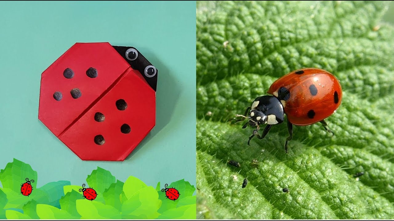 [Easy & Simple Origami] 063_origami Ladybug for kids