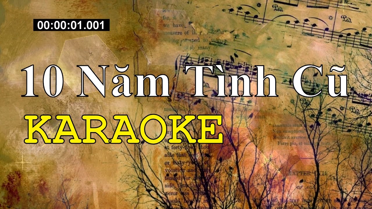 Mười Năm Tình Cũ - Karaoke Beat Chuẩn