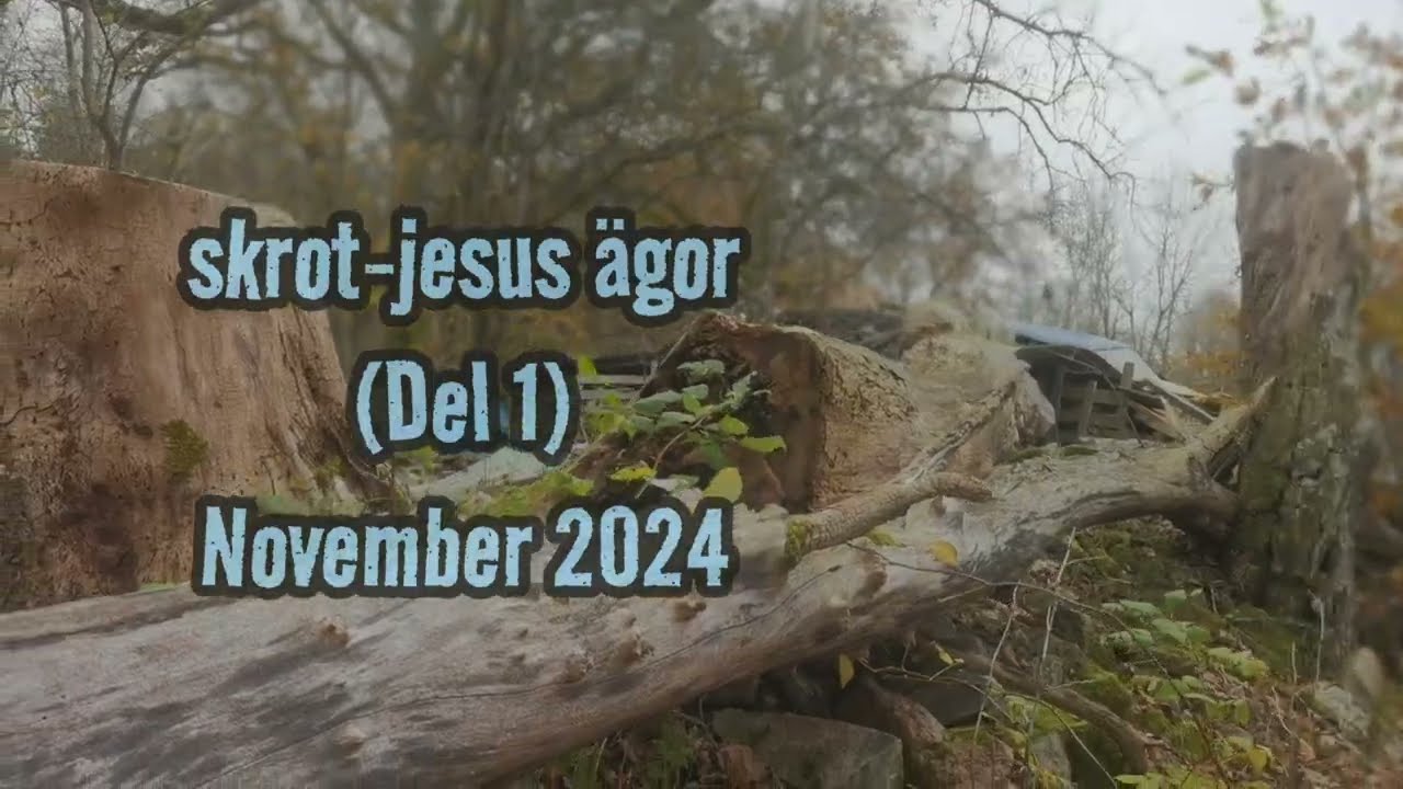 SKROT-JESUS ÄGOR (del 1) - november 2024 - BLEKINGE (Huawei P40 PRO +) #abandoned