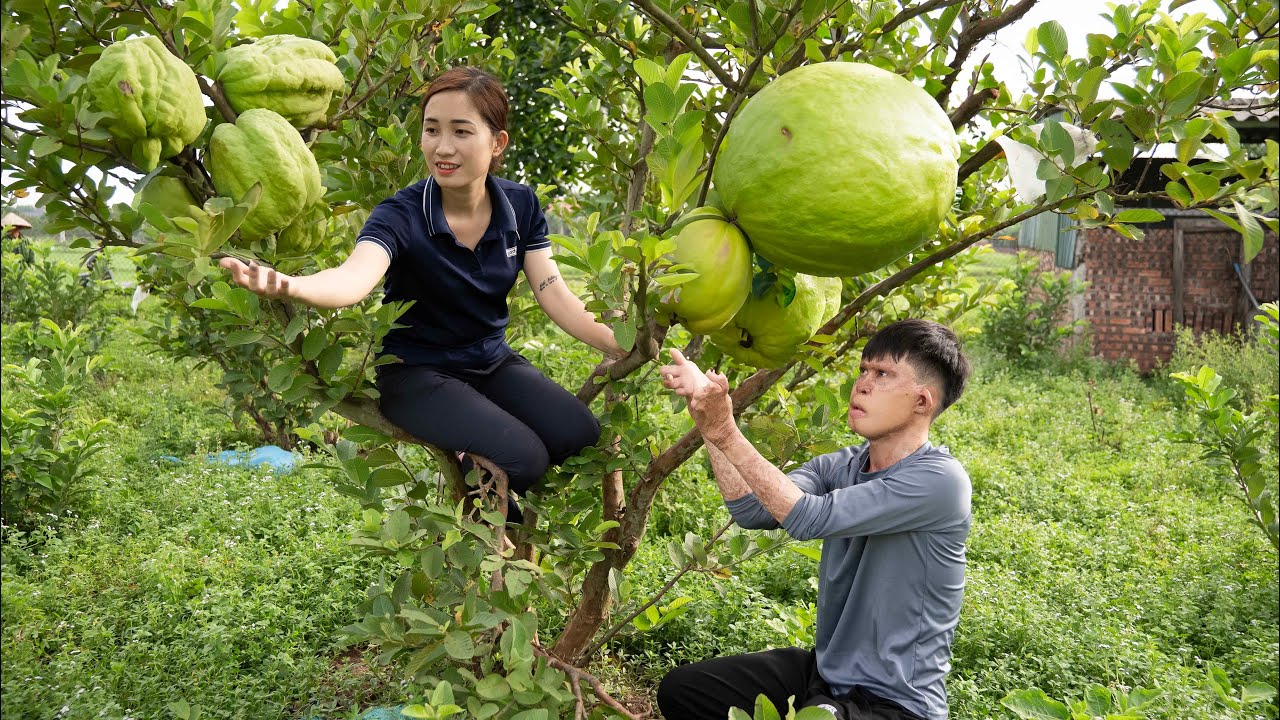 LOVE RETURN: Thanks to Mr. Thai's help, Hoa accepted Mr. Tuan's explanation
