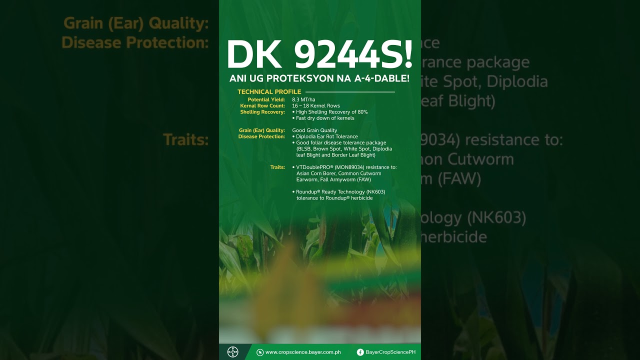 DK 9244S - Technical Profile