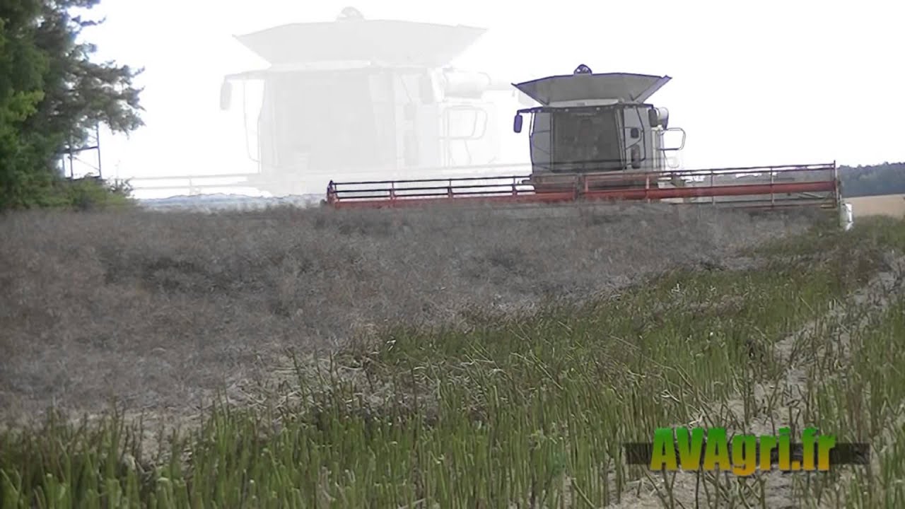 CLAAS Lexion 770, CASE IH AFS 9230 et JOHN DEERE S670i au colza en 2013