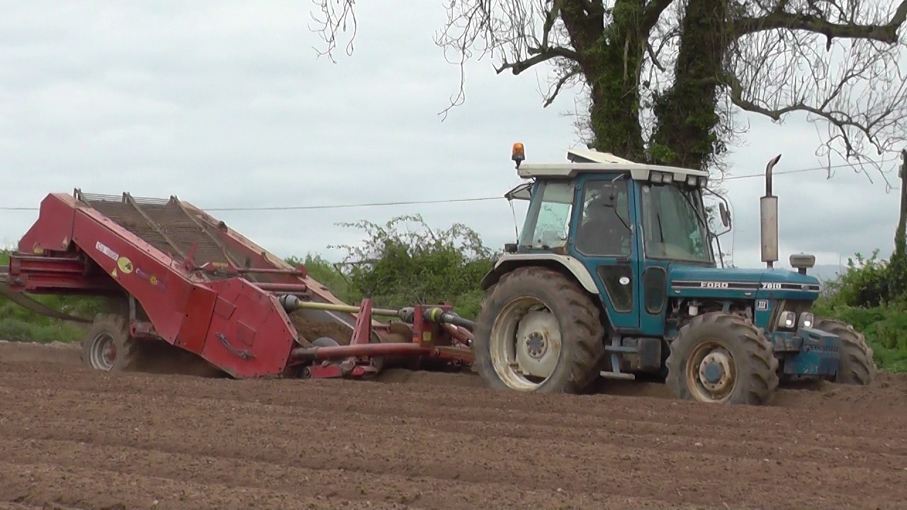 Sowing Potatoes with Fords & New Hollands