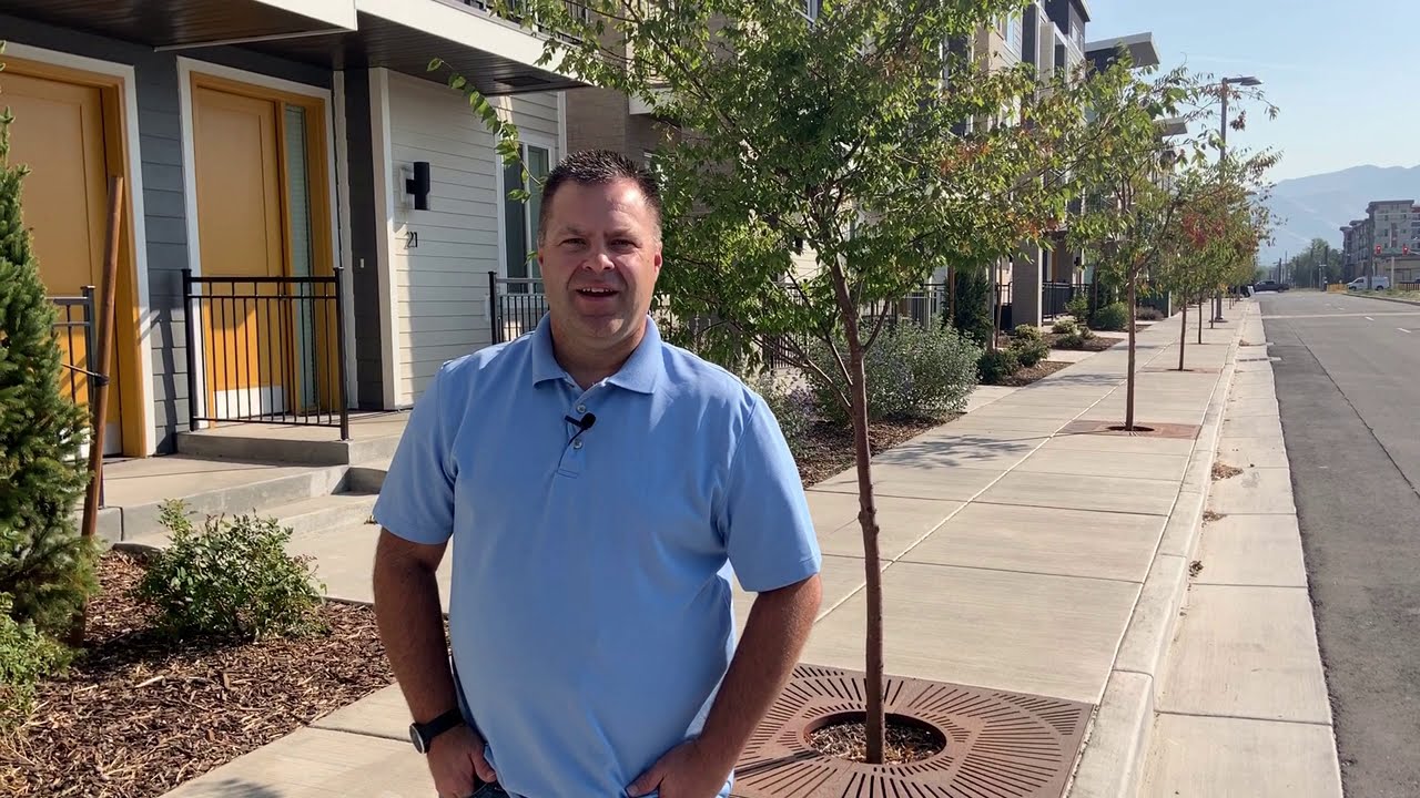 Urban Tree Plantings with Structural Soil