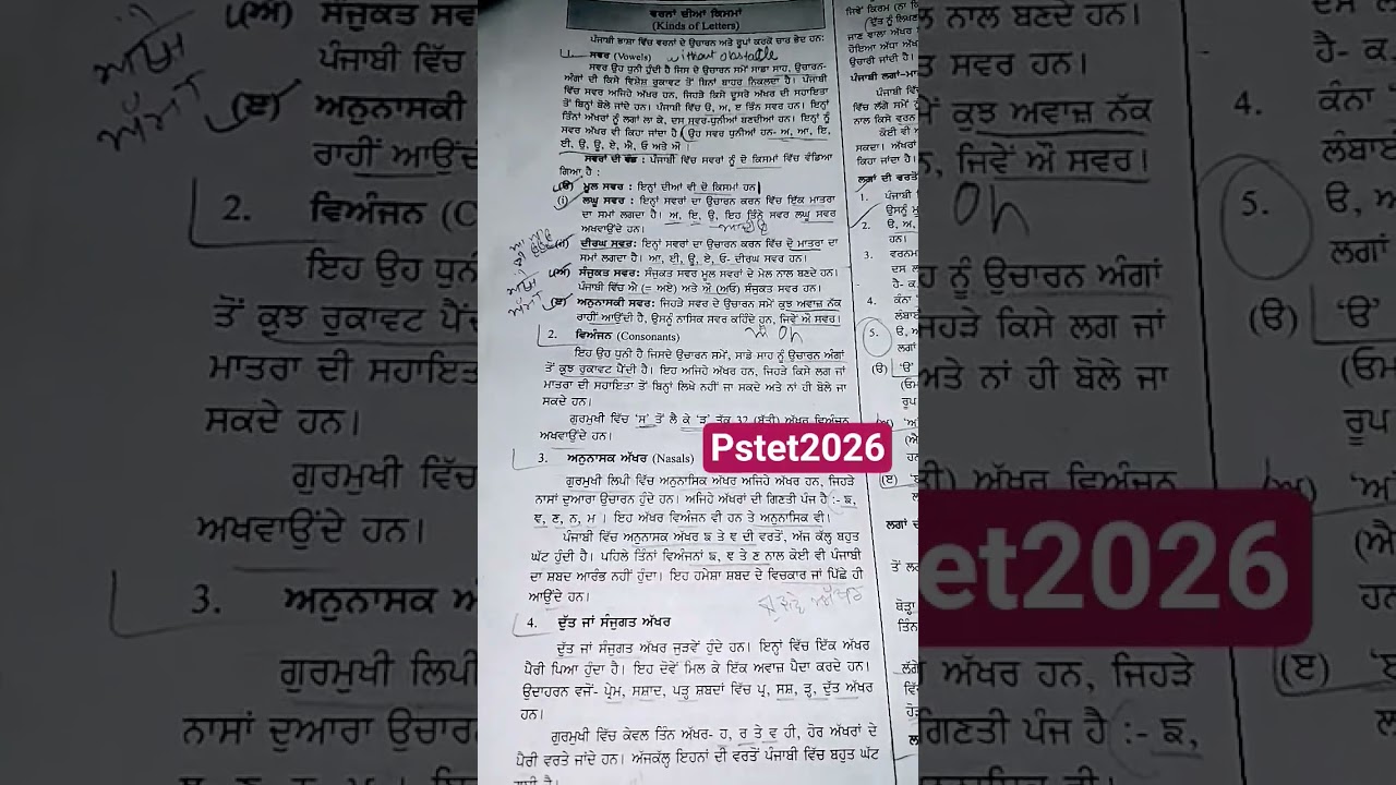 #pstet2026 #pstetexamnewupdate #pstetpaper2