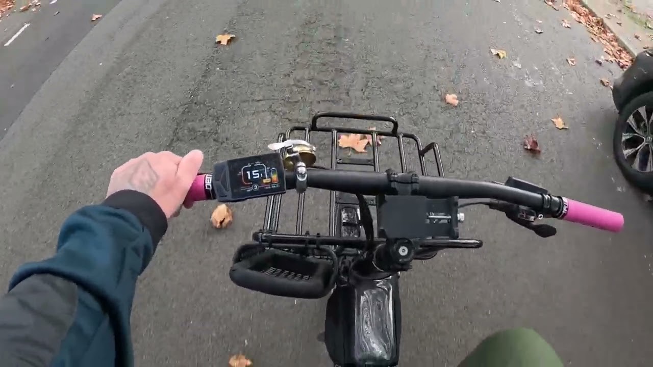 comment roule le petit porteur? moteur tongsheng tsdz8 (varstrom 👎)