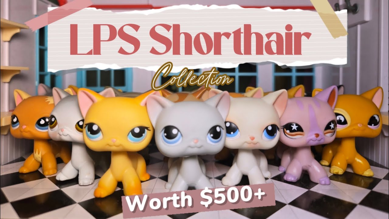 Моя огромная коллекция короткошерстных кошек LPS (стоимостью 500 долларов!) ✨️