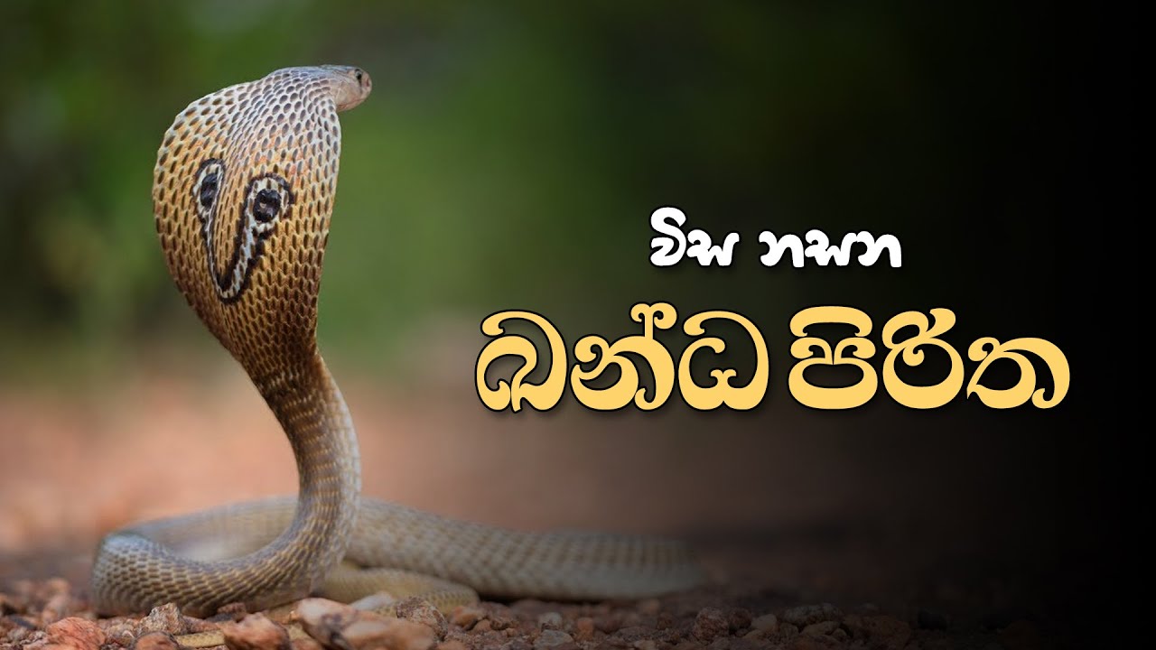 ඛන්ධ පිරිත | Kanda Piritha