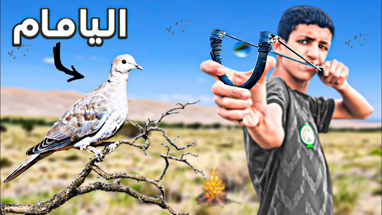 تحدي البقاء: صيد اليامام البري🕊️ بالجباد–هل سأنجح؟ الصيد والطبخ😱