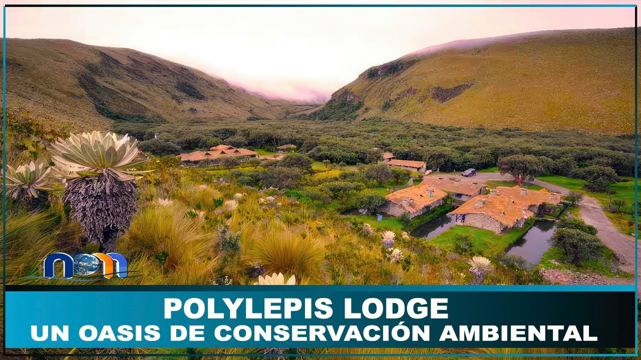 Polylepis Lodge. Un hotel encantado en el corazón de la naturaleza andina