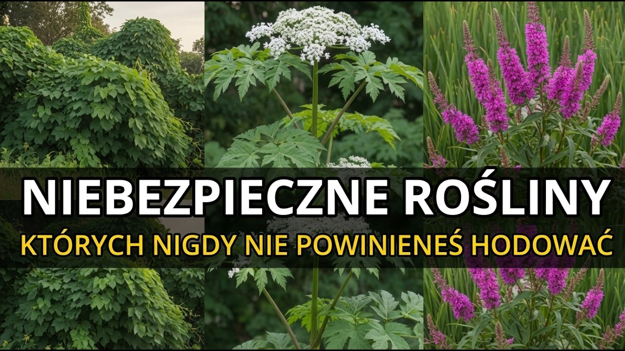20 Niszczycielskich Roślin, Kt&oacute;re Zrujnują Tw&oacute;j Ogr&oacute;d