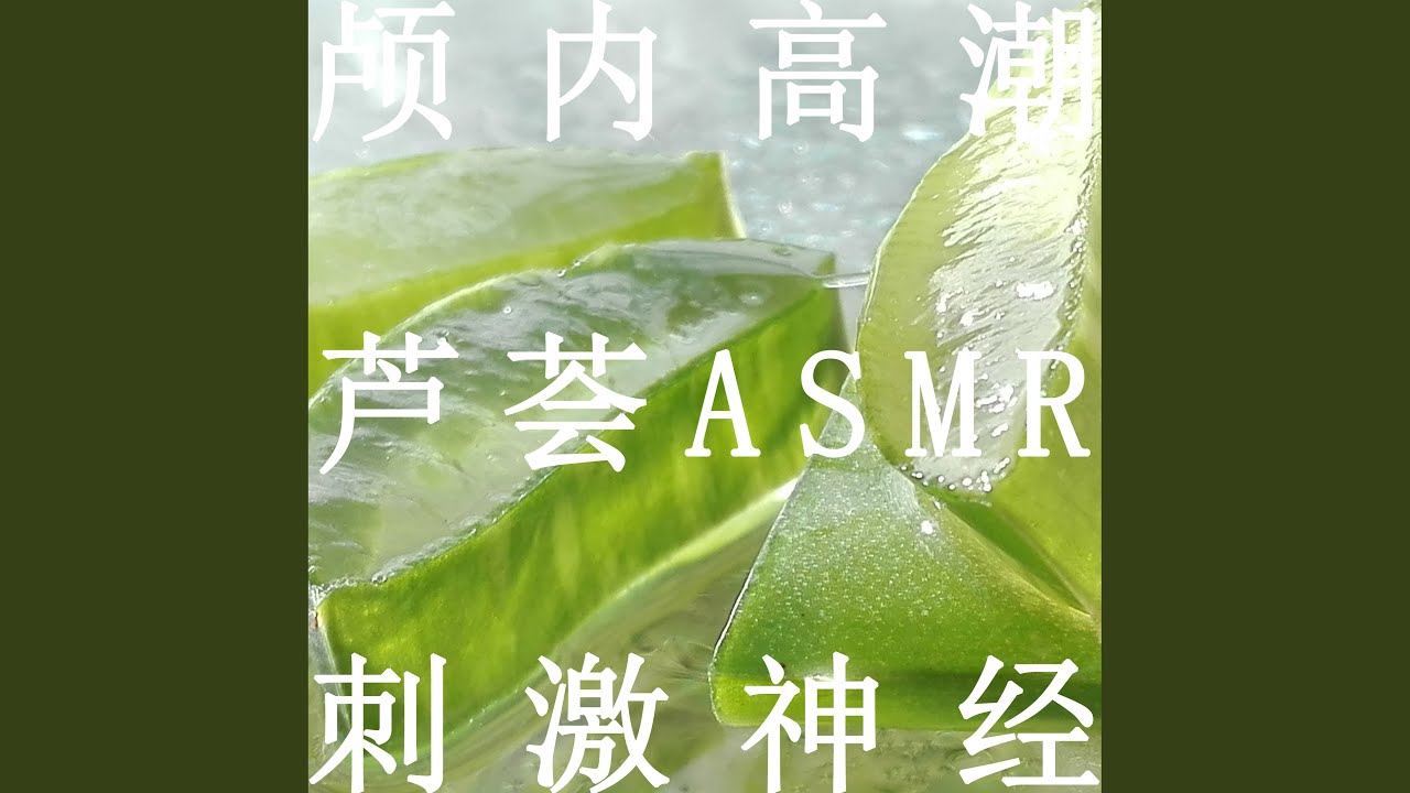 颅内高潮 (芦荟asmr纯音乐)