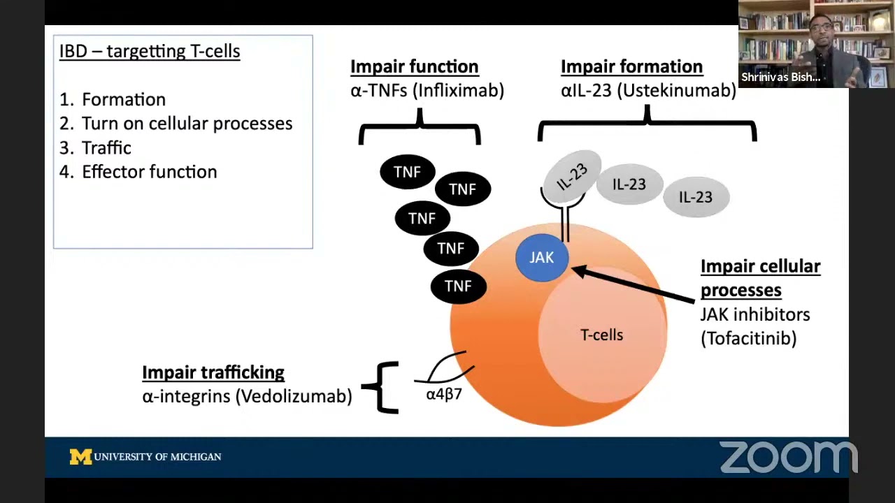 Immunological targets for Inflammatory Bowel Disease
