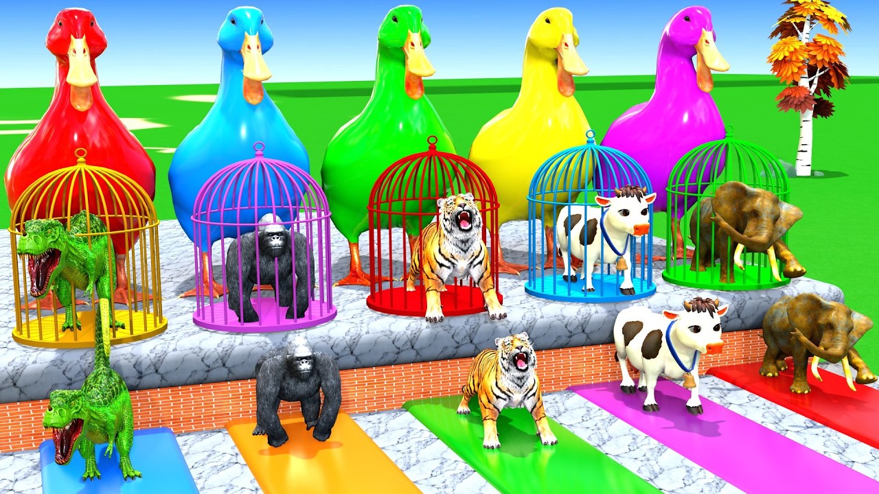 Long Slide Game With Cow Elephant Gorilla Hippopotamus Tiger 3d Animal Game Funny 3d AnimalsVideo