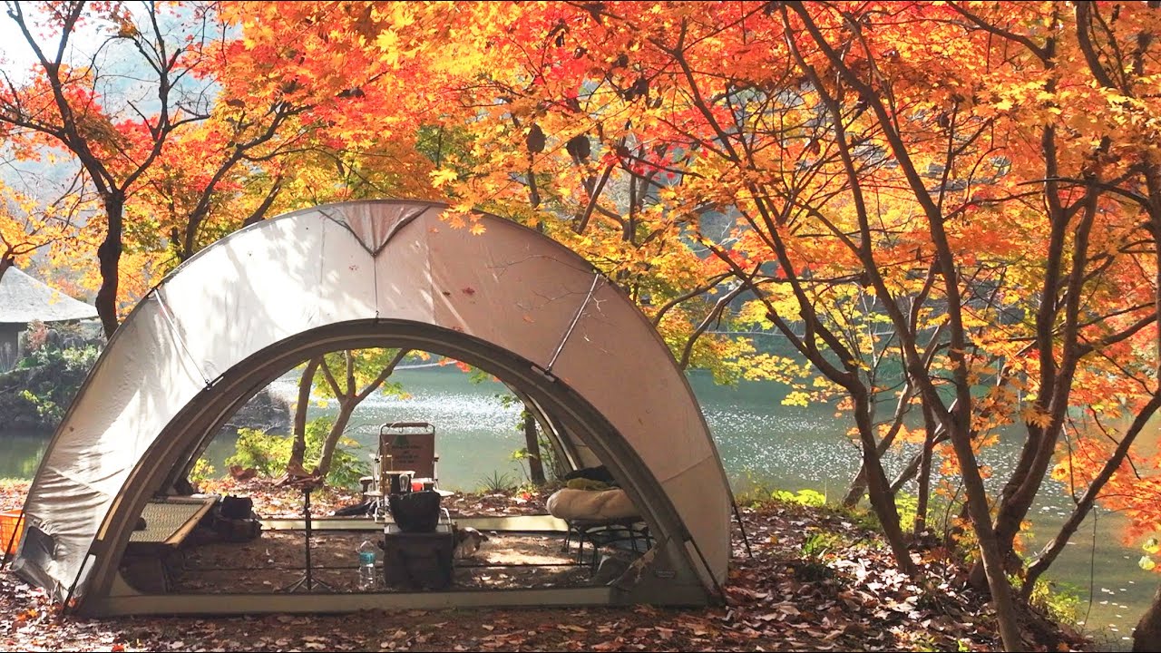4K 사랑하는 너를 떠나 보내며, 호수 뷰 캠핑장에서 처음 보는 아기 고양이와 1박, 텐트 안 빗소리와 따뜻한 대화가 있는 저녁