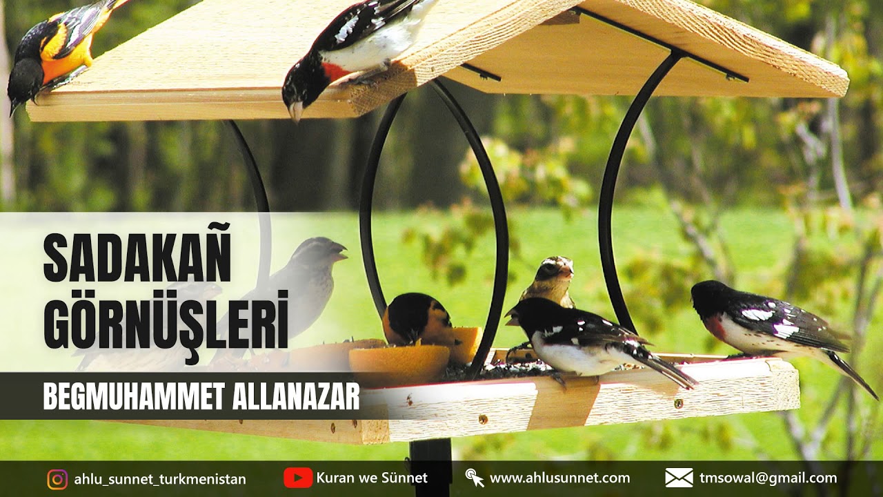 SADAKAŇ GÖRNÜŞLERİ  | TÜRKMENÇE WAGYZ | TÜRKMENİSTAN.