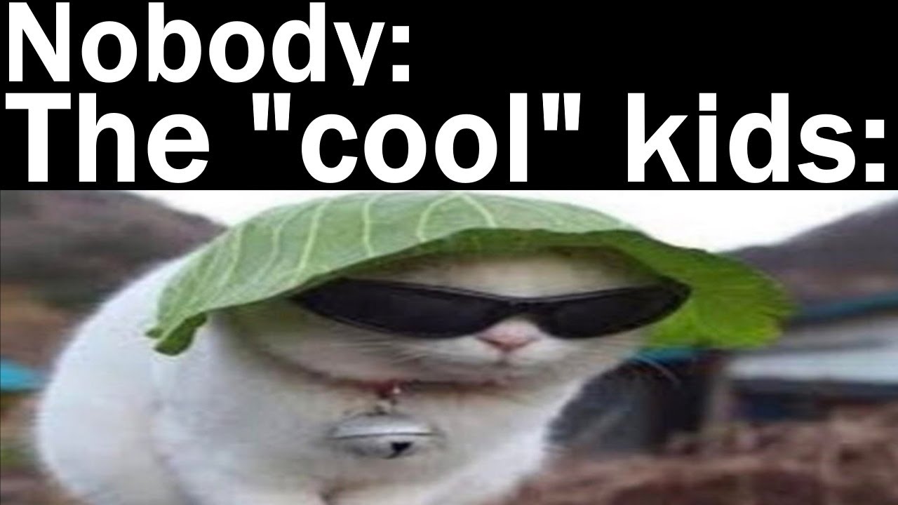 School Memes ONLY Students Understand