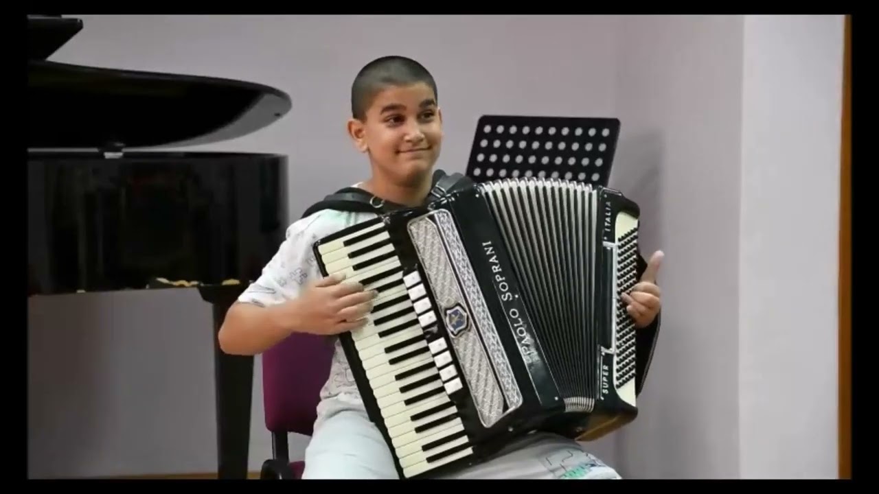 POLOMIO VETAR GRANE - Stefan NOVAKOVIČ (harmonika)