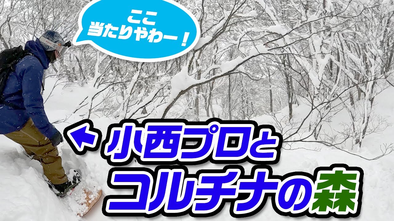 【スノーボード】小西プロとコルチナの森で大当たりパウダーセッション!!