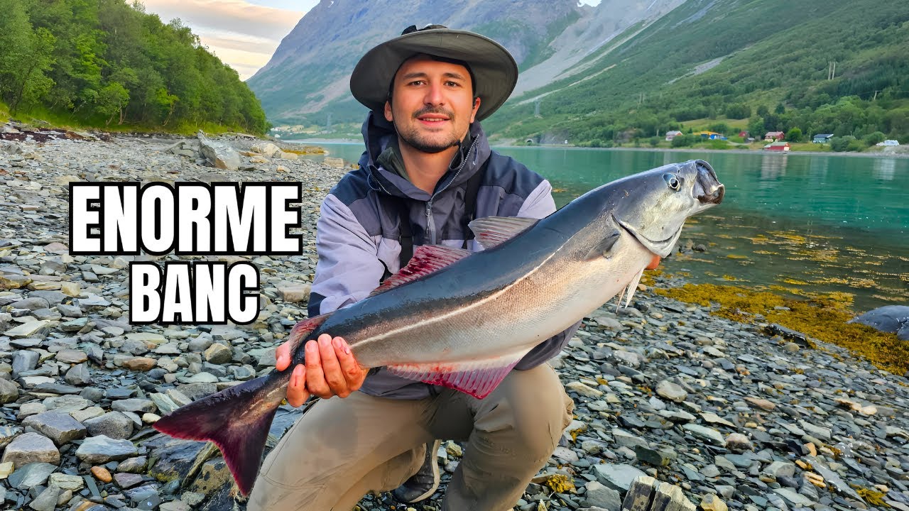 NUIT BLANCHE de FOLIE en Norvège - SHORE FISHING (🇳🇴 EP.3)
