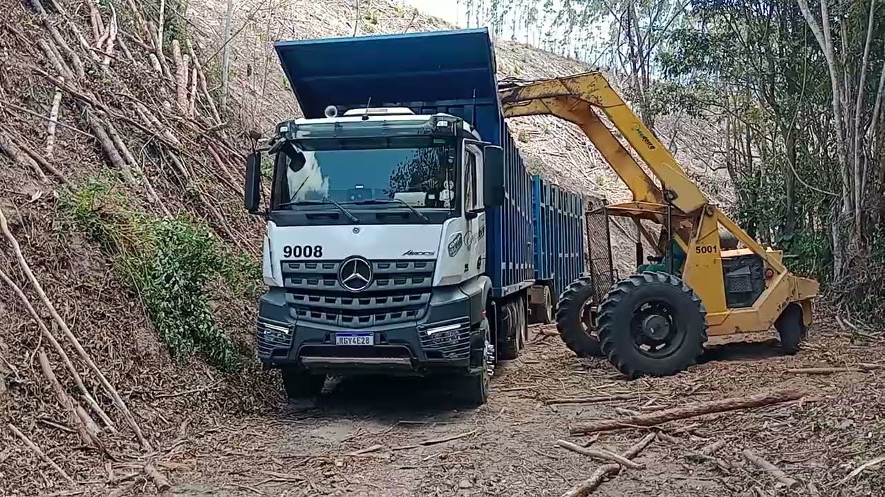 Carregamento de# madeira #eucalipto caitex transporte e #beneficiamento.
