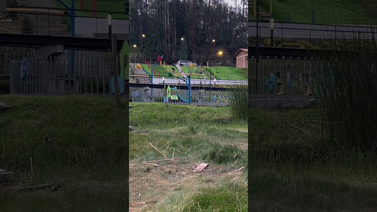 осмотр достопримечательностей 6.3.1 #вирусныекороткометражки #природа #разнообразие #путешествия