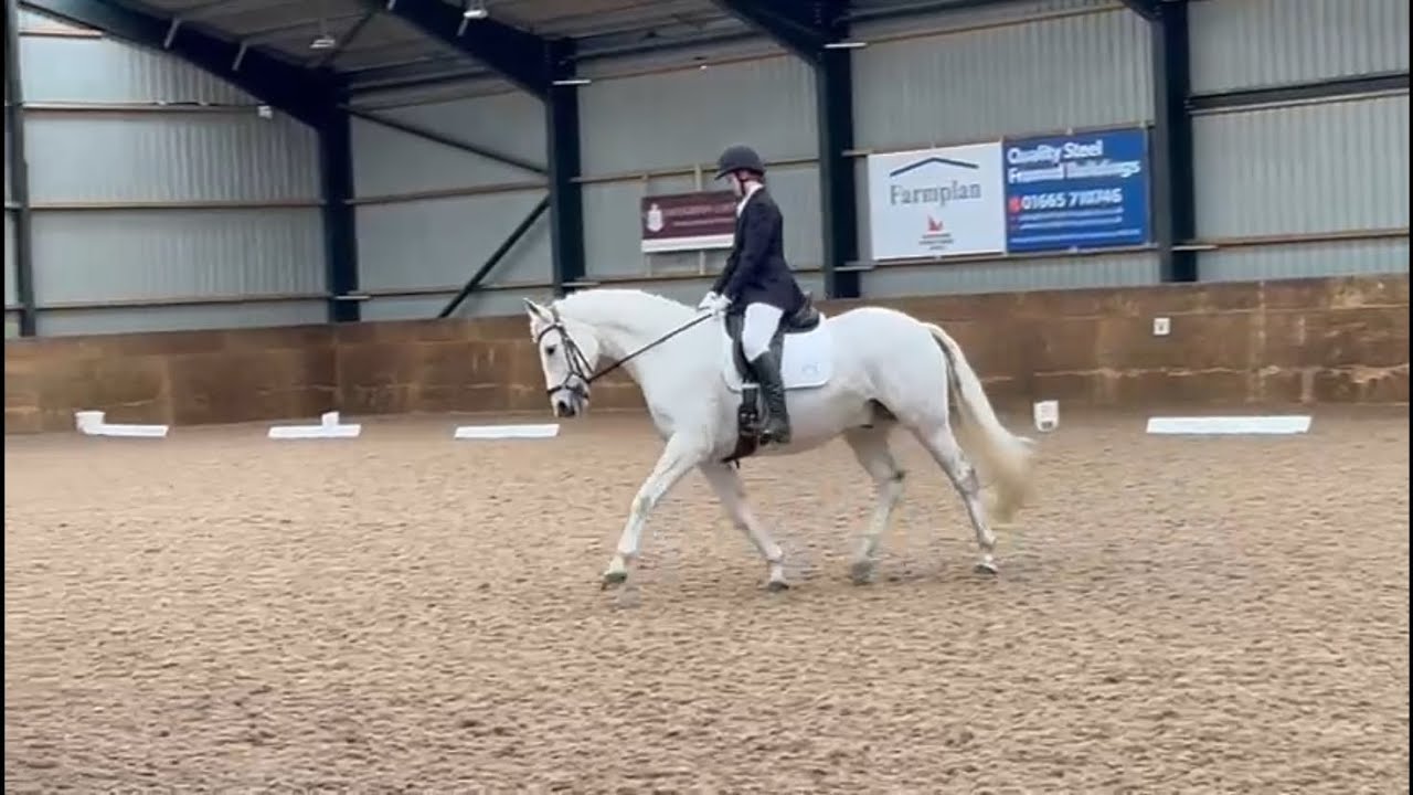 Prelim 13 (2006) Dressage Test