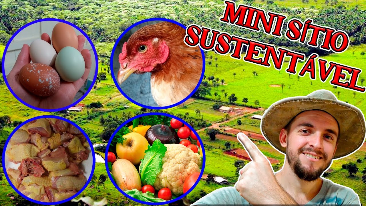 MINI SÍTIO SUSTENTÁVEL - PRODUZIMOS 90% DA NOSSA COMIDA AQUI / Mini Sítio