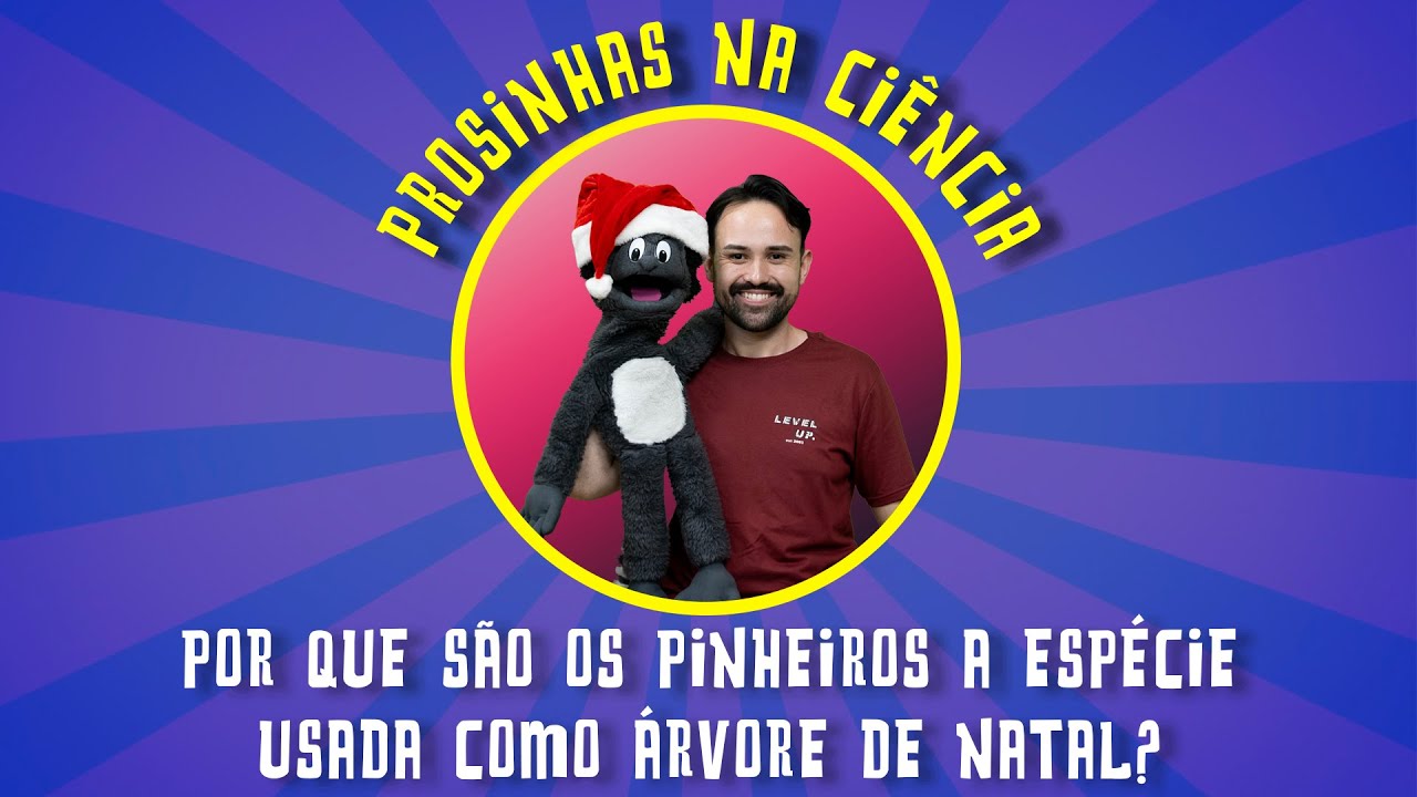 Por que são os #pinheiros a espécie usada como árvore de #natal?