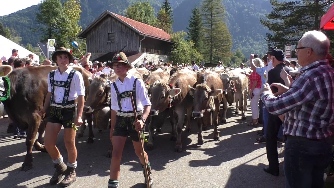 Viehscheid Bad Hindelang 2018