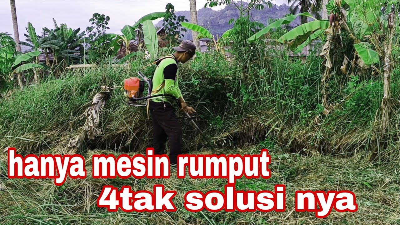 POTONG RUMPUT PAKAI PISAU SAYA SELALU PAKAI MESIN RUMPUT IPOWER 4TAK MODEL ABC 435