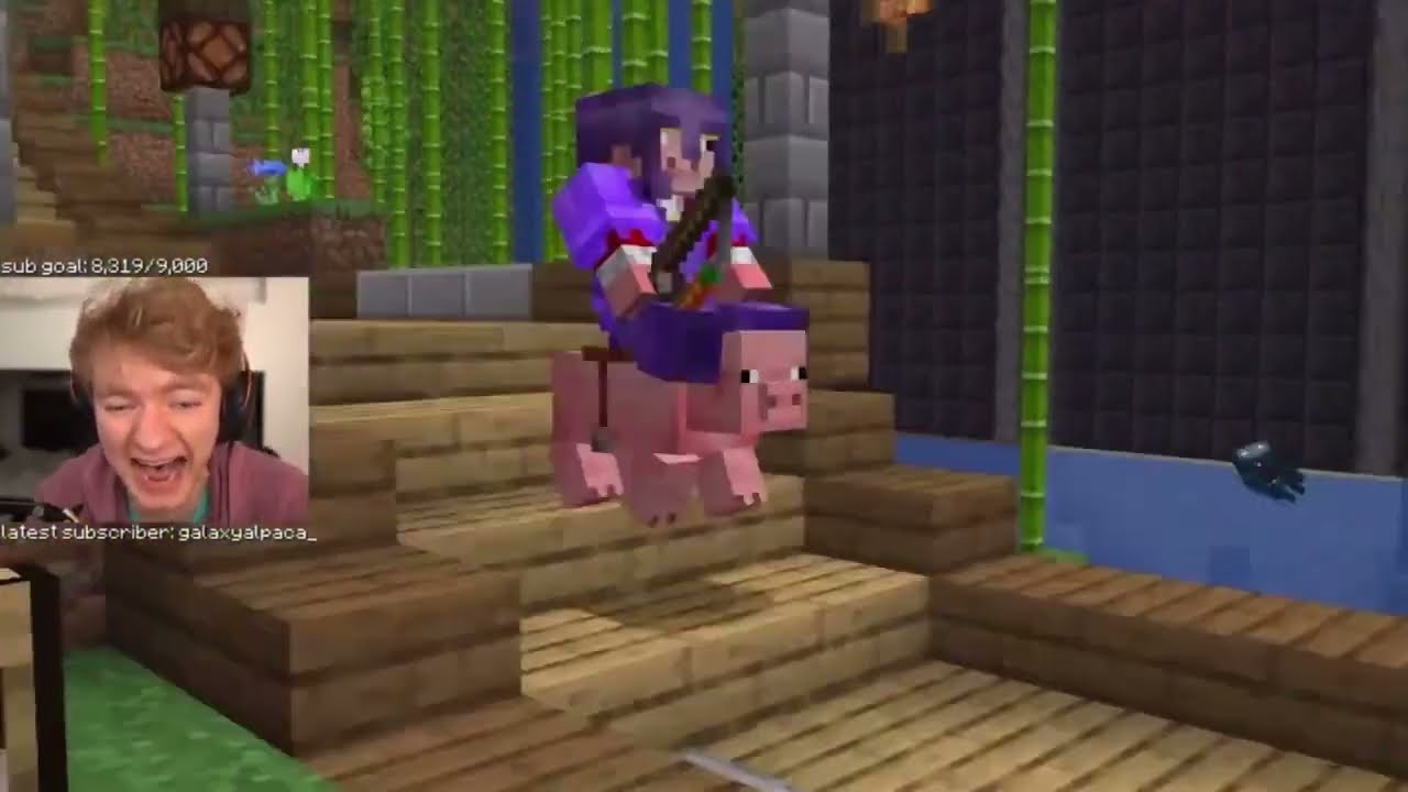 tommyinnit and technoblade moments (bedrock duo/bros compilation)