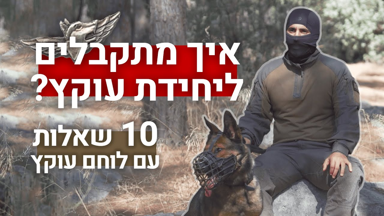 חשיפה: לוחם עוקץ עונה על כל השאלות | צה״ל