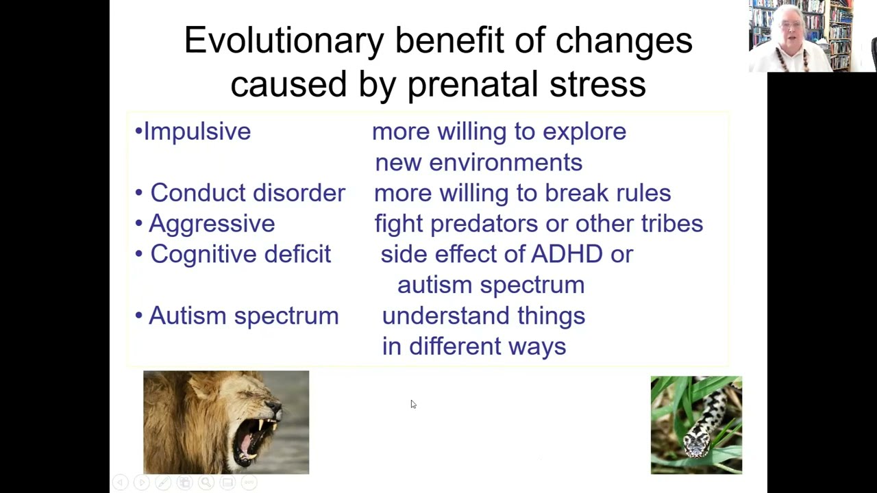 Prenatal stress and child neurodevelopment: Evolutionary explanations? Vivette Glover