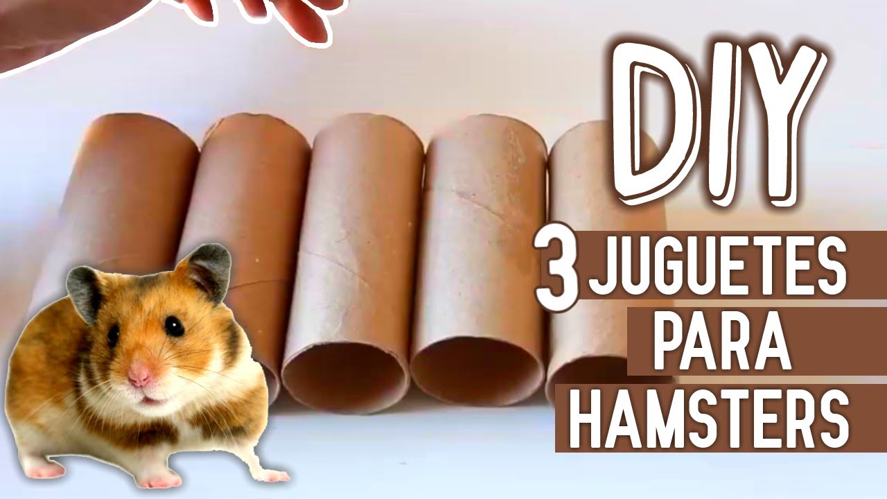 3 JUGUETES para HAMSTER CON CARTON 🐹 (fáciles de hacer)