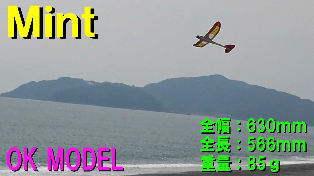 OK MODEL MINT【ラジコングライダー】515