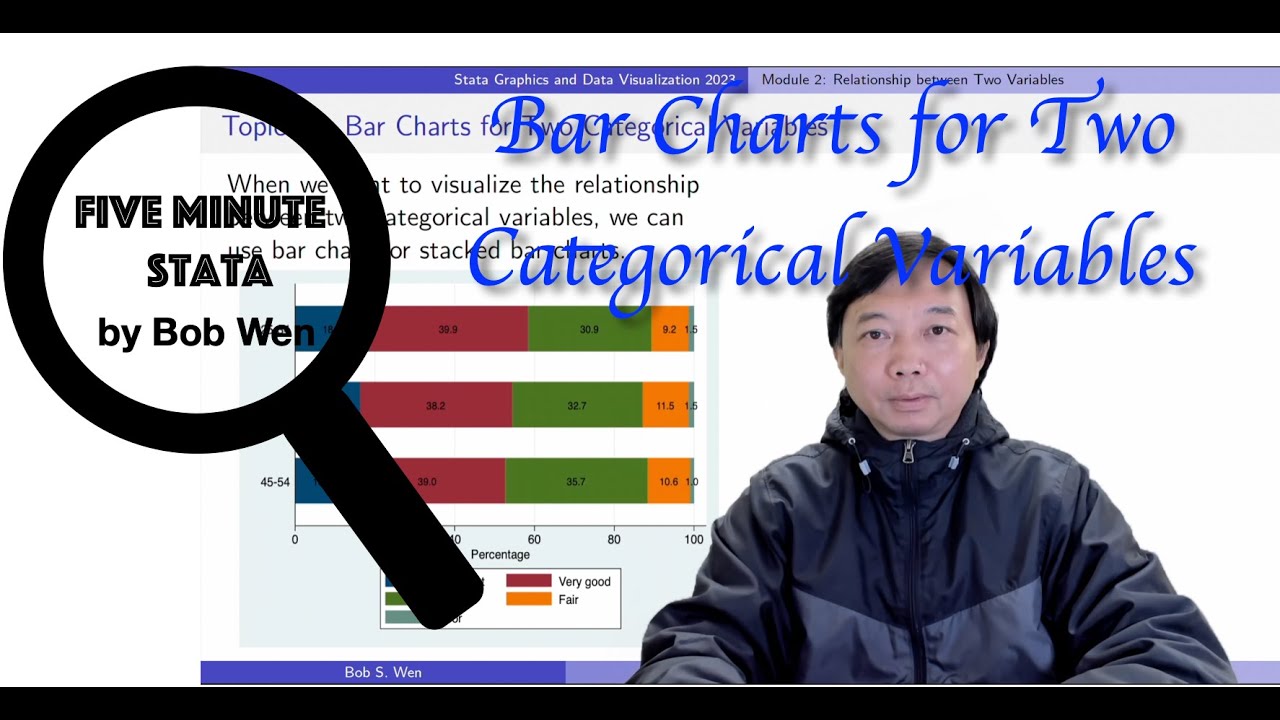 How to Draw Bar Charts for Two Categorical Variables? | Stata Graphics | Stata Tutorials Topic 10