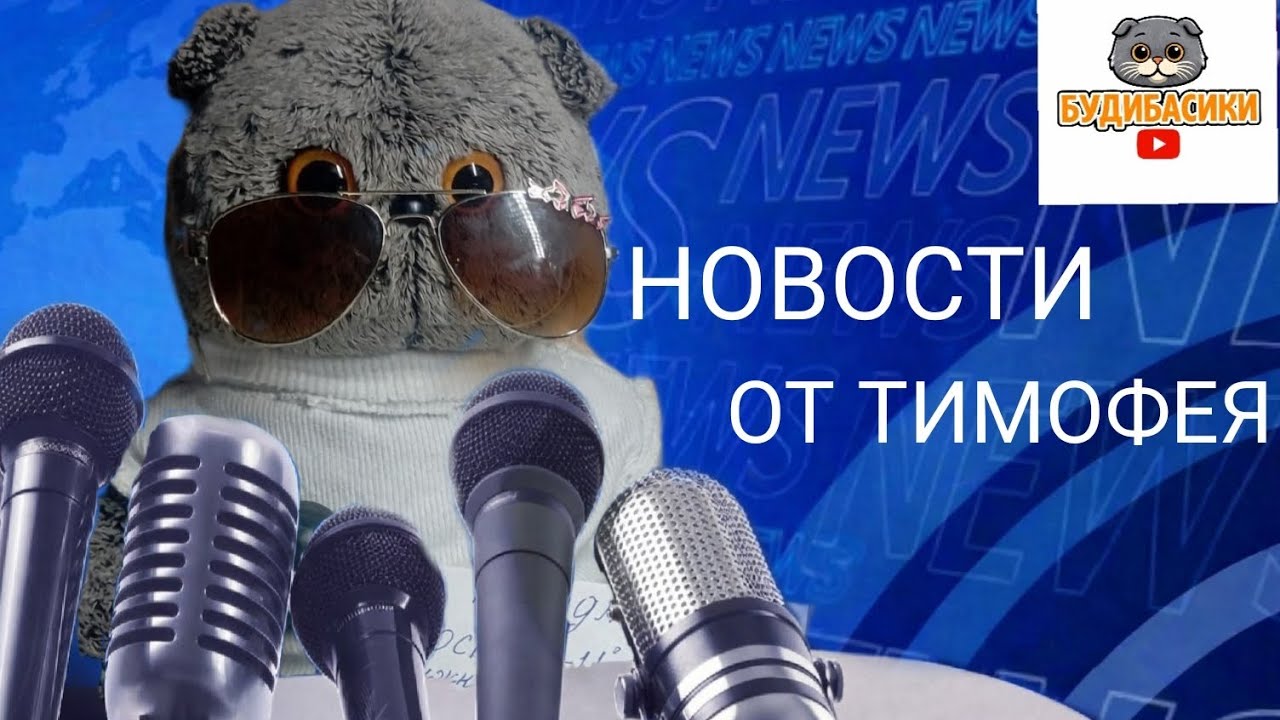 НОВОСТИ ОТ ТИМОФЕЯ | БУДИБАСИКИ | ПРЕВЬЮ ВЗЯЛА У КОТОБАСА И ЧУТЬ ИЗМЕНИЛА 