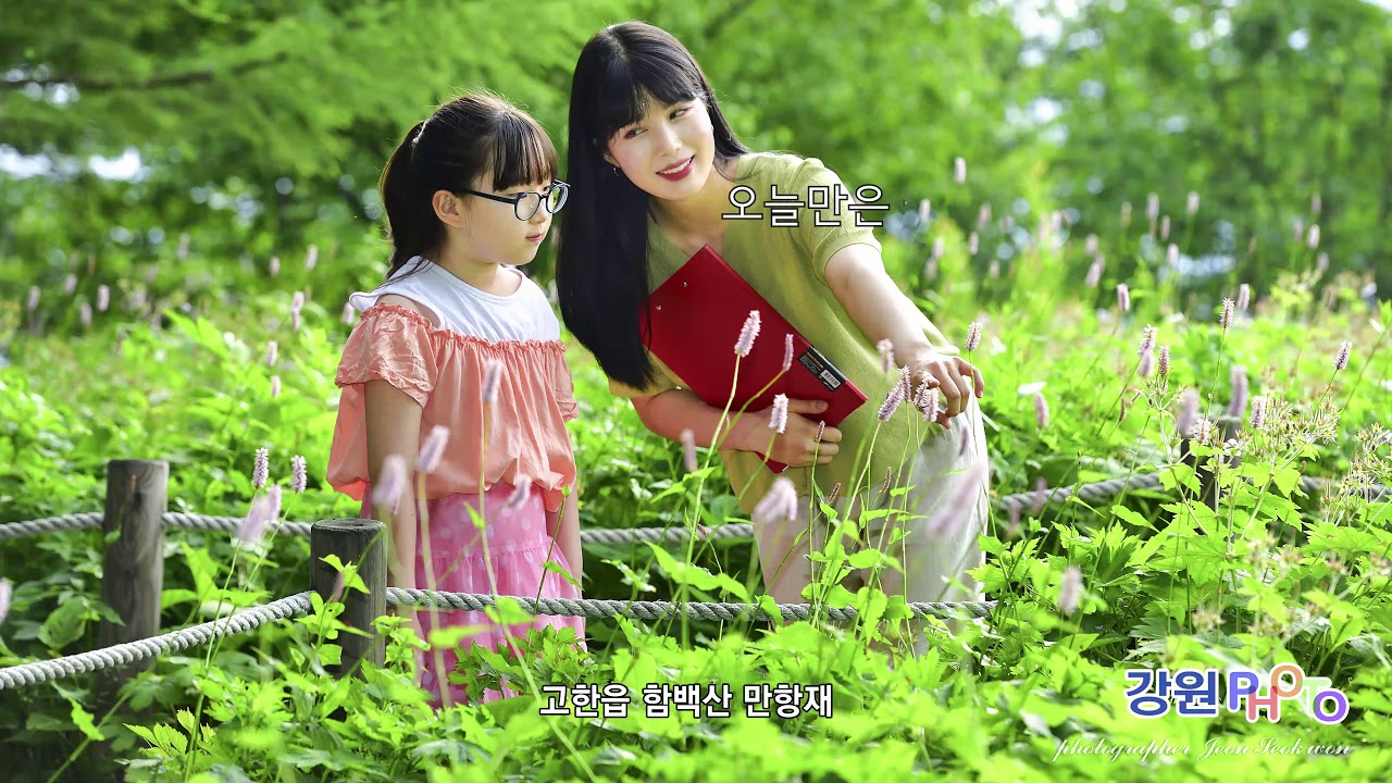 함백산으로 오라