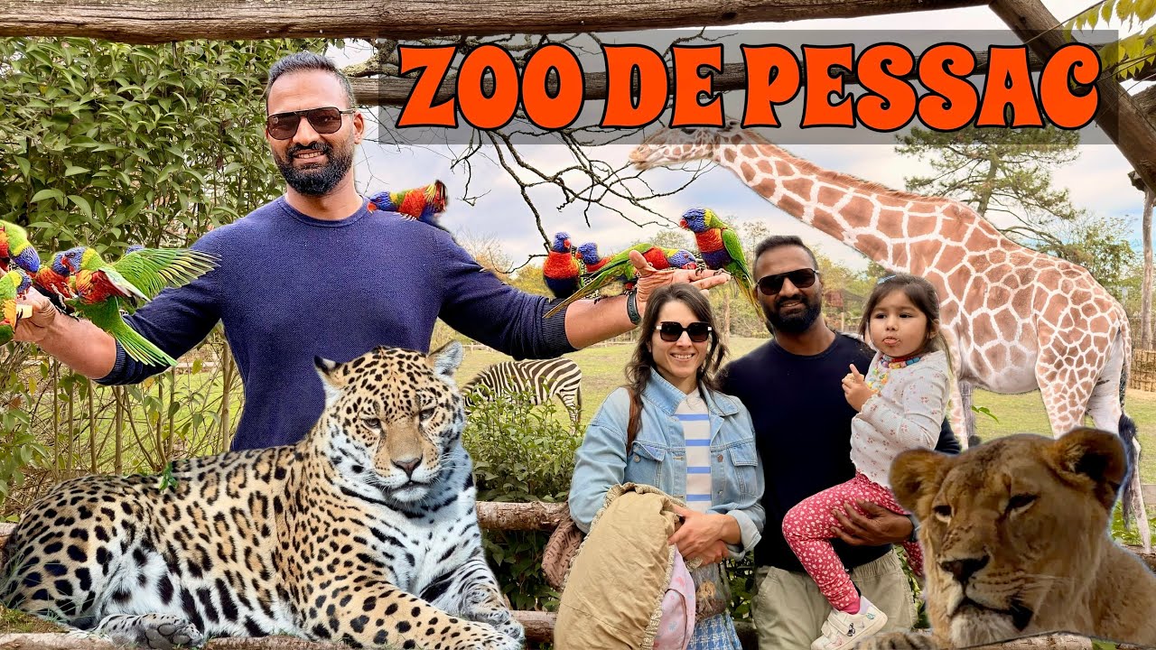 Découverte du Zoo de Pessac 🐆 | Une journée inoubliable en famille !