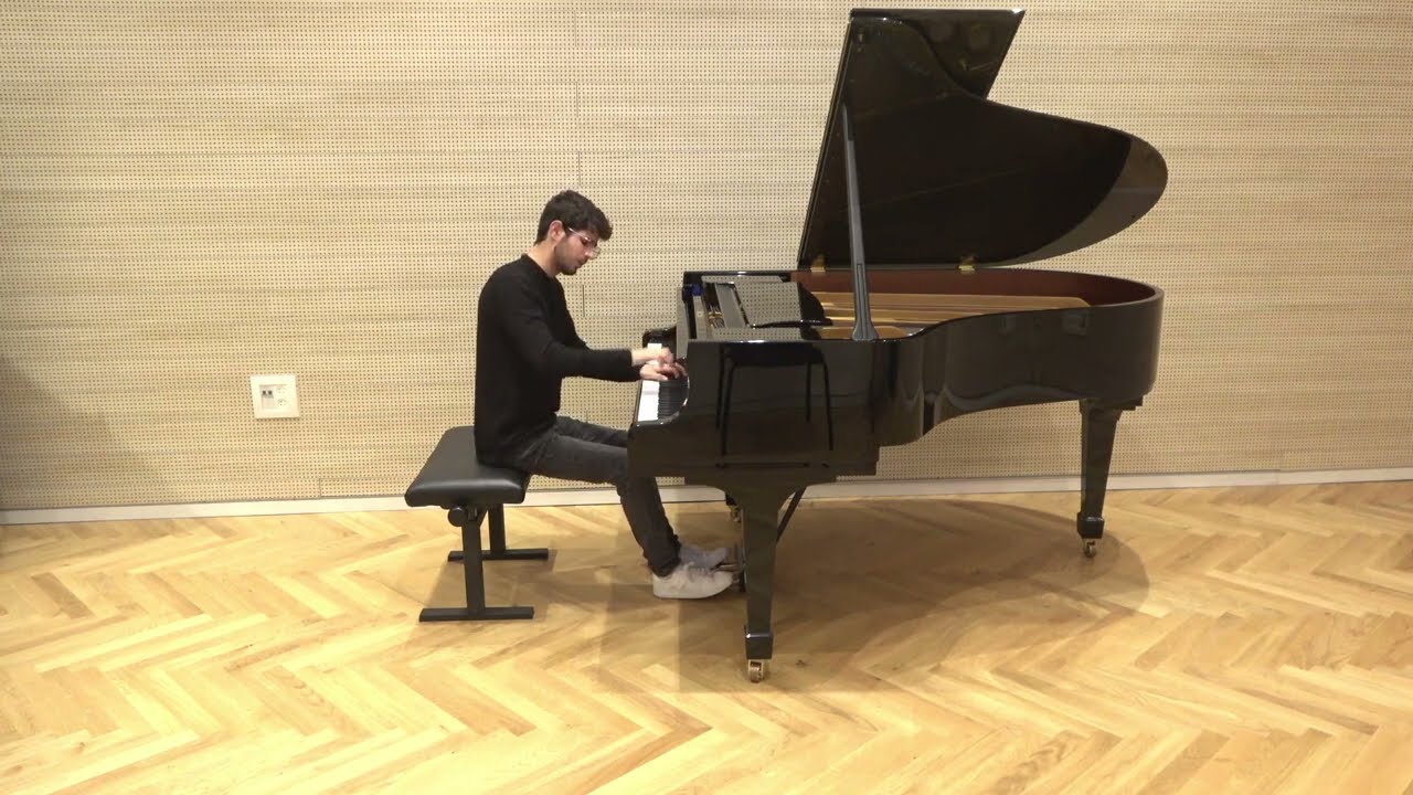 W.A.Mozart - Sonata K.576 in D major: 2nd movement - Roi Eden