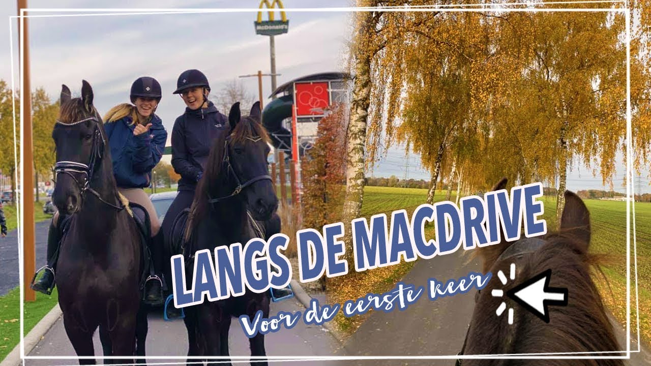 DOOR DE MACDRIVE MET DE PAARDEN + PECH ONDERWEG
